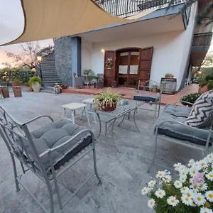 Casa Degli Ulivi Etna Bed & Breakfast